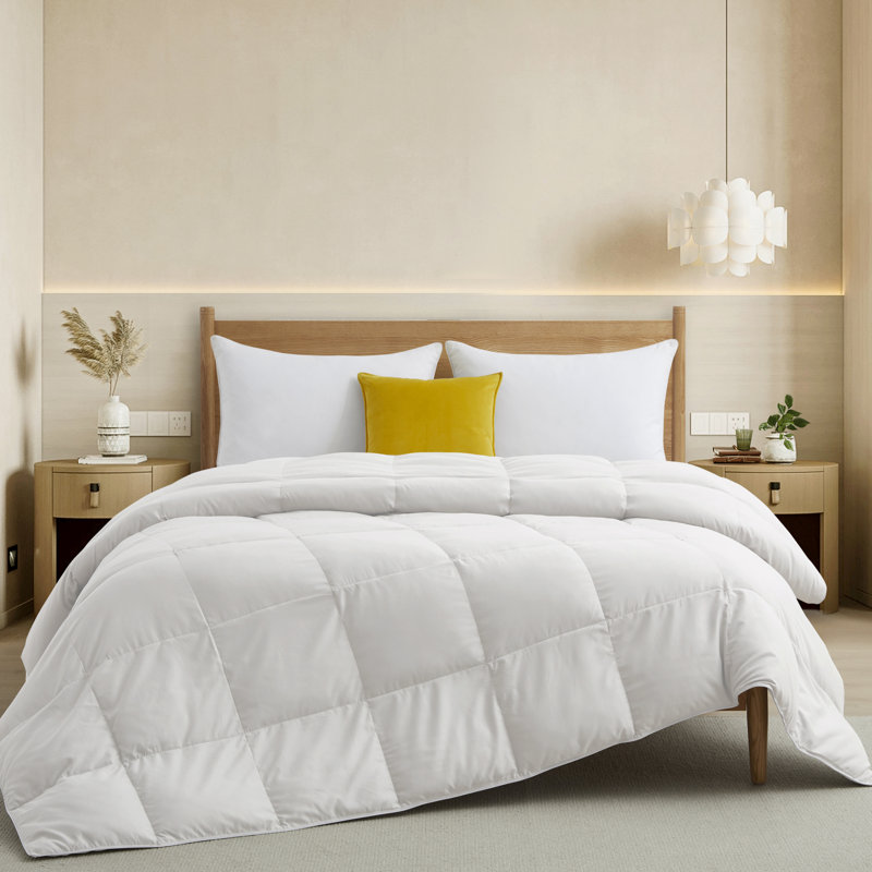 Alwyn Home Summer Goose Down Comforter & Reviews Wayfair